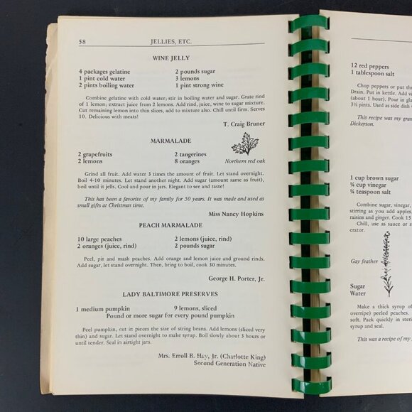 Atlanta Natives Favorite Recipes Spiral-Bound Cookbook 1980 Georgia USA Vintage - Picture 10 of 16